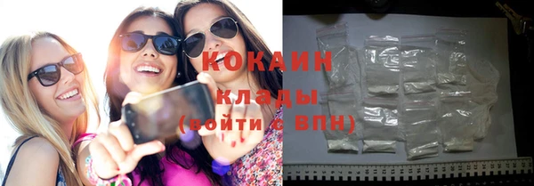 дурь Бородино