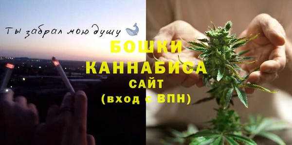 тгк Бронницы