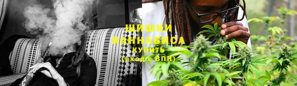 тгк Бронницы